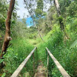 Reserva Científica Ebano Verde - Azua
