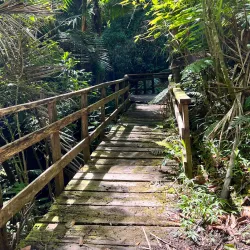 Reserva Científica Ebano Verde - Azua