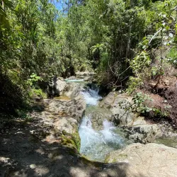 Reserva Científica Ebano Verde - Azua