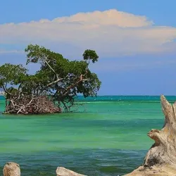 Barahona City - Barahona