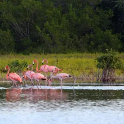 Laguna de Oviedo - Barahona