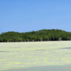 Laguna de Oviedo - Barahona