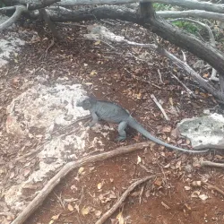 Laguna de Oviedo - Barahona