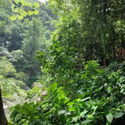 Salto de Jimenoa - Barahona