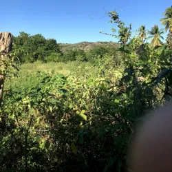 Sierra de Bahoruco National Park - Barahona