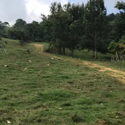 Sierra de Bahoruco National Park - Barahona