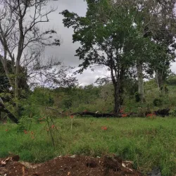 Sierra de Bahoruco National Park - Barahona