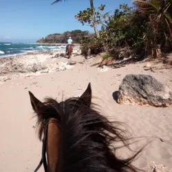 Cabarete Farmers Market - Cabarete