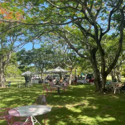 Cabarete Farmers Market - Cabarete