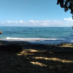 Cabarete Farmers Market - Cabarete