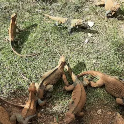 Cueva de las Maravillas (Cave of Wonders) - Cabarete