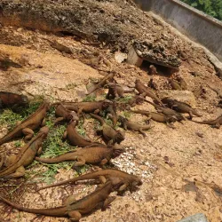 Cueva de las Maravillas (Cave of Wonders) - Cabarete