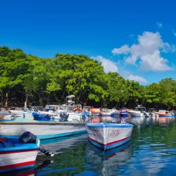 Laguna Gri Gri - Cabarete