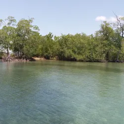 Laguna Gri Gri - Cabarete