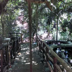 Monkey Jungle Cabarete - Cabarete