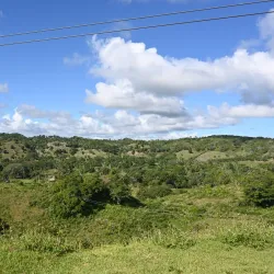 Monkey Jungle Cabarete - Cabarete