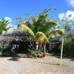 Monkey Jungle Cabarete - Cabarete