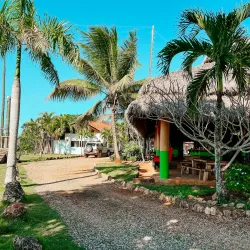 Monkey Jungle Cabarete - Cabarete