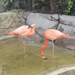 Ocean World Adventure Park - Cabarete