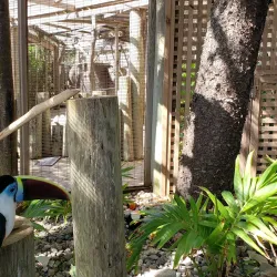 Ocean World Adventure Park - Cabarete