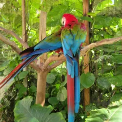 Ocean World Adventure Park - Cabarete