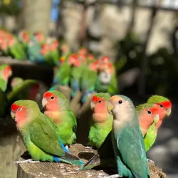 Ocean World Adventure Park - Cabarete
