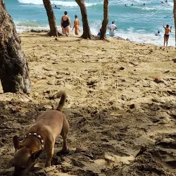 Playa Encuentro - Cabarete