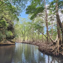 Los Haitises National Park - Hato Mayor del Rey