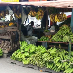 Mercado Municipal de Hato Mayor - Hato Mayor del Rey
