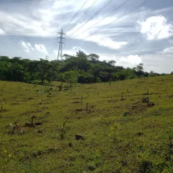 Parque Ecológico La Laguna - Hato Mayor del Rey