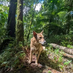 Reserva Científica Loma Guaconejo - Hato Mayor del Rey