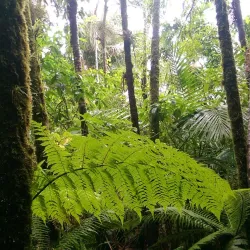 Reserva Científica Loma Guaconejo - Hato Mayor del Rey