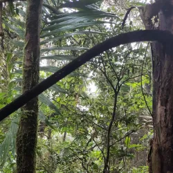Reserva Científica Loma Guaconejo - Hato Mayor del Rey