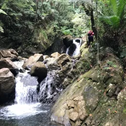 Reserva Científica Loma Guaconejo - Hato Mayor del Rey