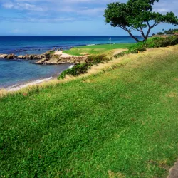Golf at Teeth of the Dog - La Romana