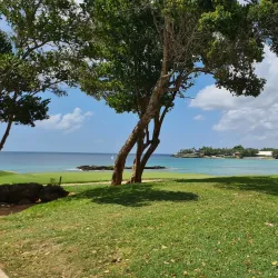 Golf at Teeth of the Dog - La Romana