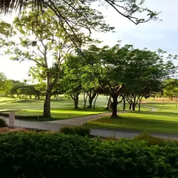 Golf at Teeth of the Dog - La Romana