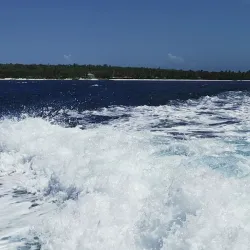 Isla Saona - La Romana