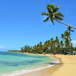 Playa Punta Popy - Las Terrenas