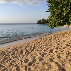 Laguna Gri Gri - Miches