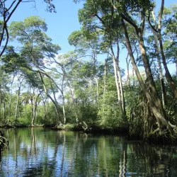 Laguna Gri Gri - Miches