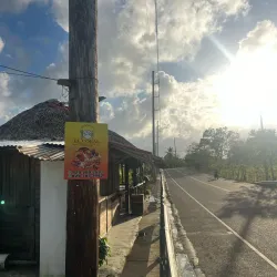 Local Seafood Restaurants - Miches