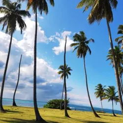 Playa Esmeralda - Miches