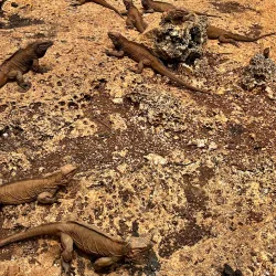 Cueva de las Maravillas - Nagua