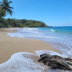 Playa Grande - Nagua
