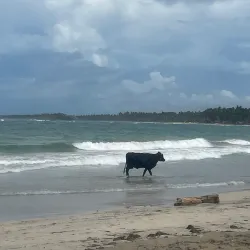 Playa La Entrada - Nagua