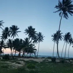 Playa La Entrada - Nagua