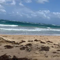 Playa La Entrada - Nagua