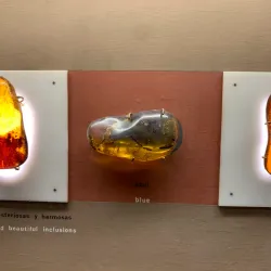 Amber Museum (Museo del Ámbar) - Puerto Plata