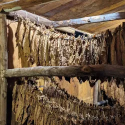 Amber Museum (Museo del Ámbar) - Puerto Plata